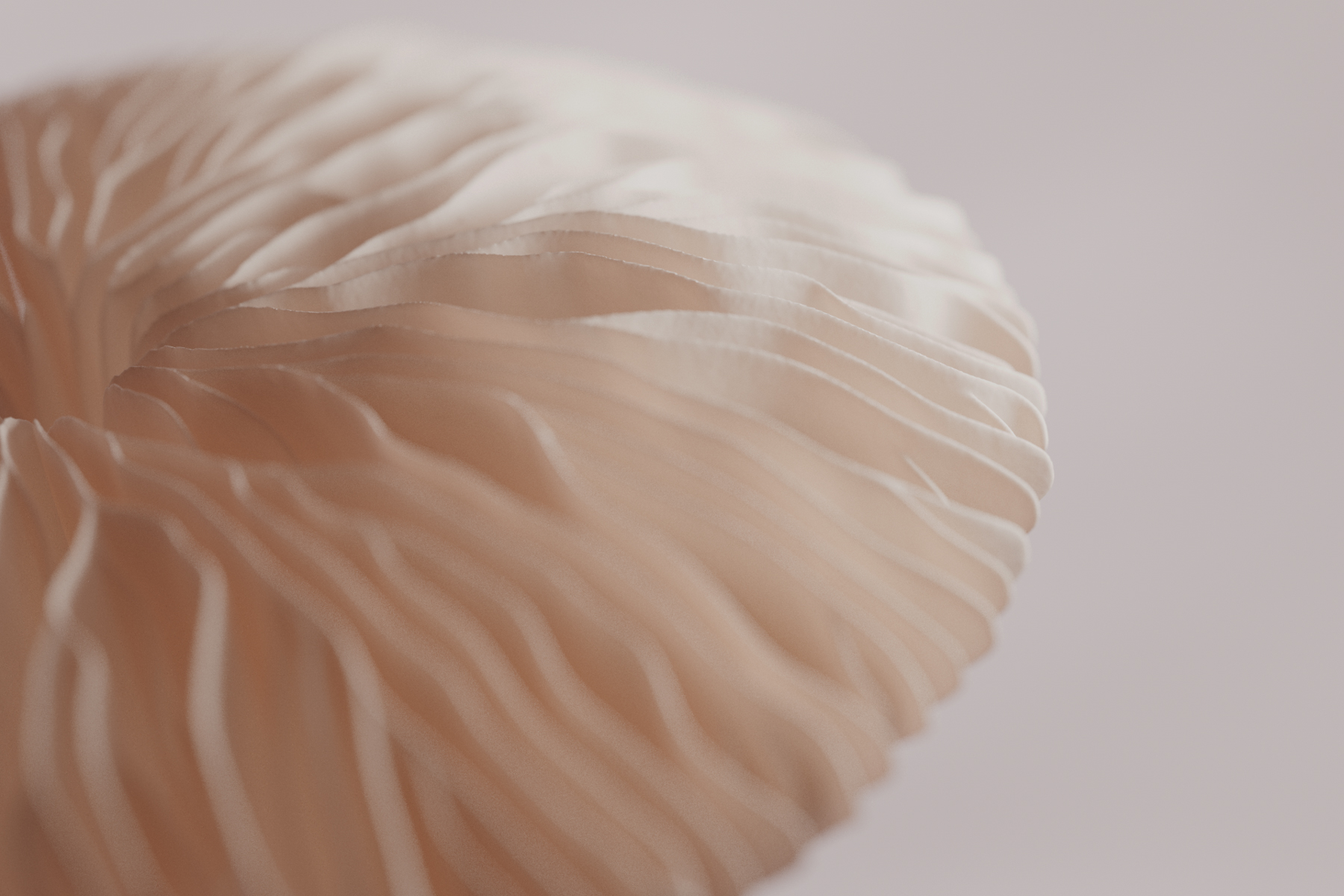 Windows 11 Themes - Six N. Five