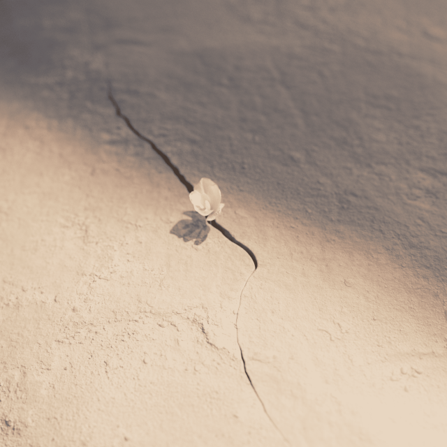 New Life - Six N.Five