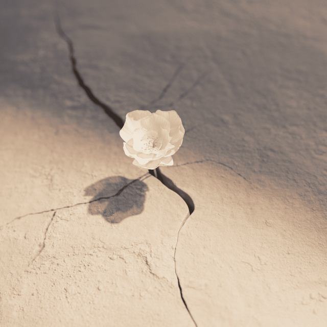 New Life - Six N.Five