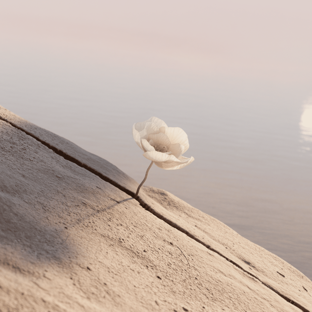 New Life - Six N.Five