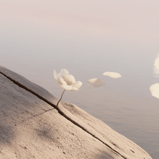 New Life - Six N.Five