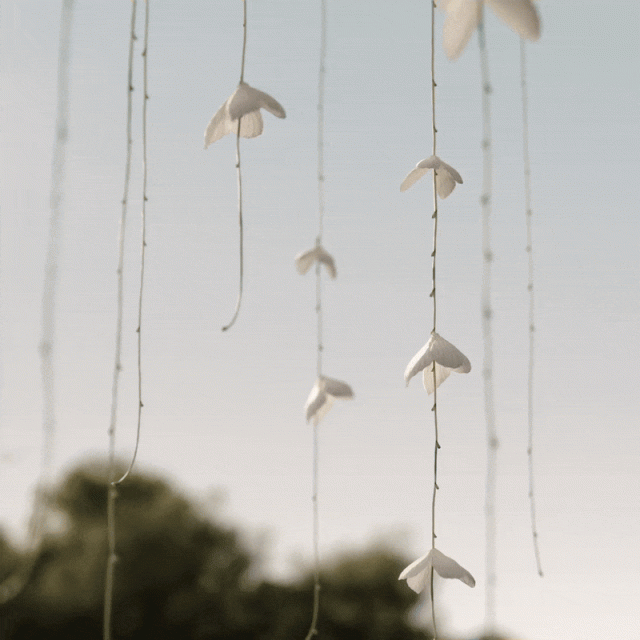 New Life - Six N.Five